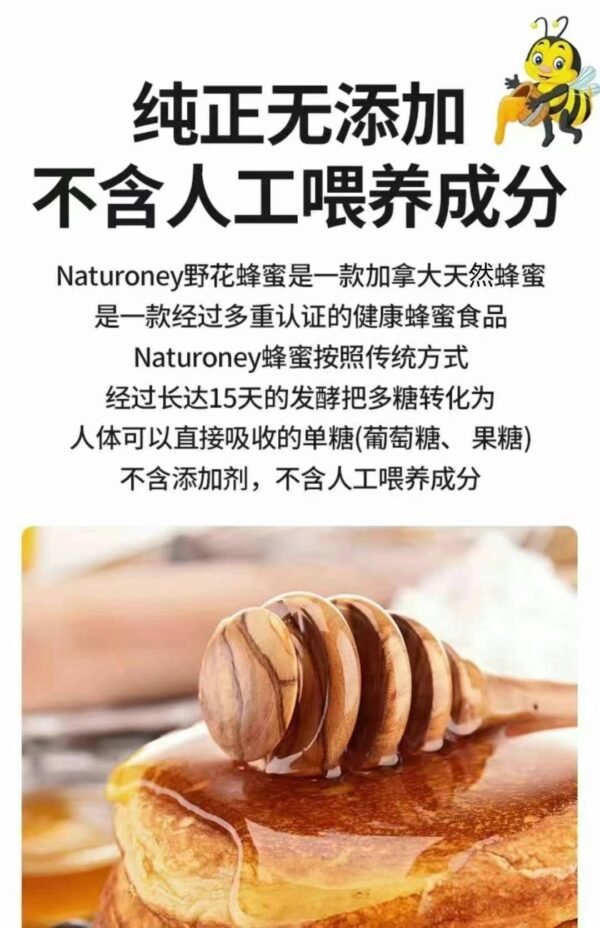 加拿大Naturoney有机蜂蜜 - 图片 8