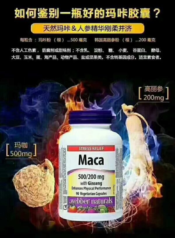 🌺 🇨🇦MACA玛卡人参胶囊150粒/瓶 - 图片 5