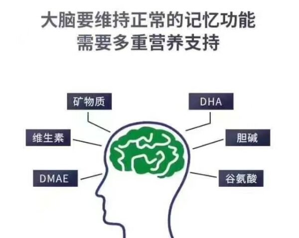 Focus factor成‮健人‬脑增强记‮力忆‬补脑营养素150粒装 - 图片 6