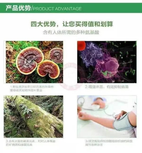 Organika 灵芝胶囊新包装360粒 - 图片 6