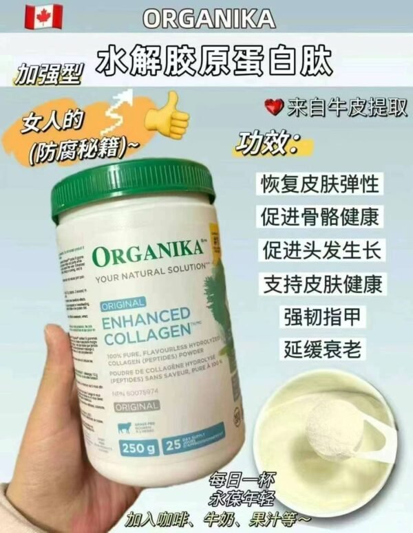 Organika全效型小子分水解胶原蛋白粉1KG