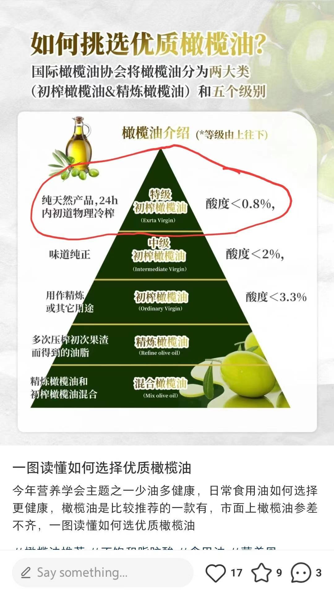 PC冷压物理萃取特级初榨橄榄油500ml/瓶 - 图片 4