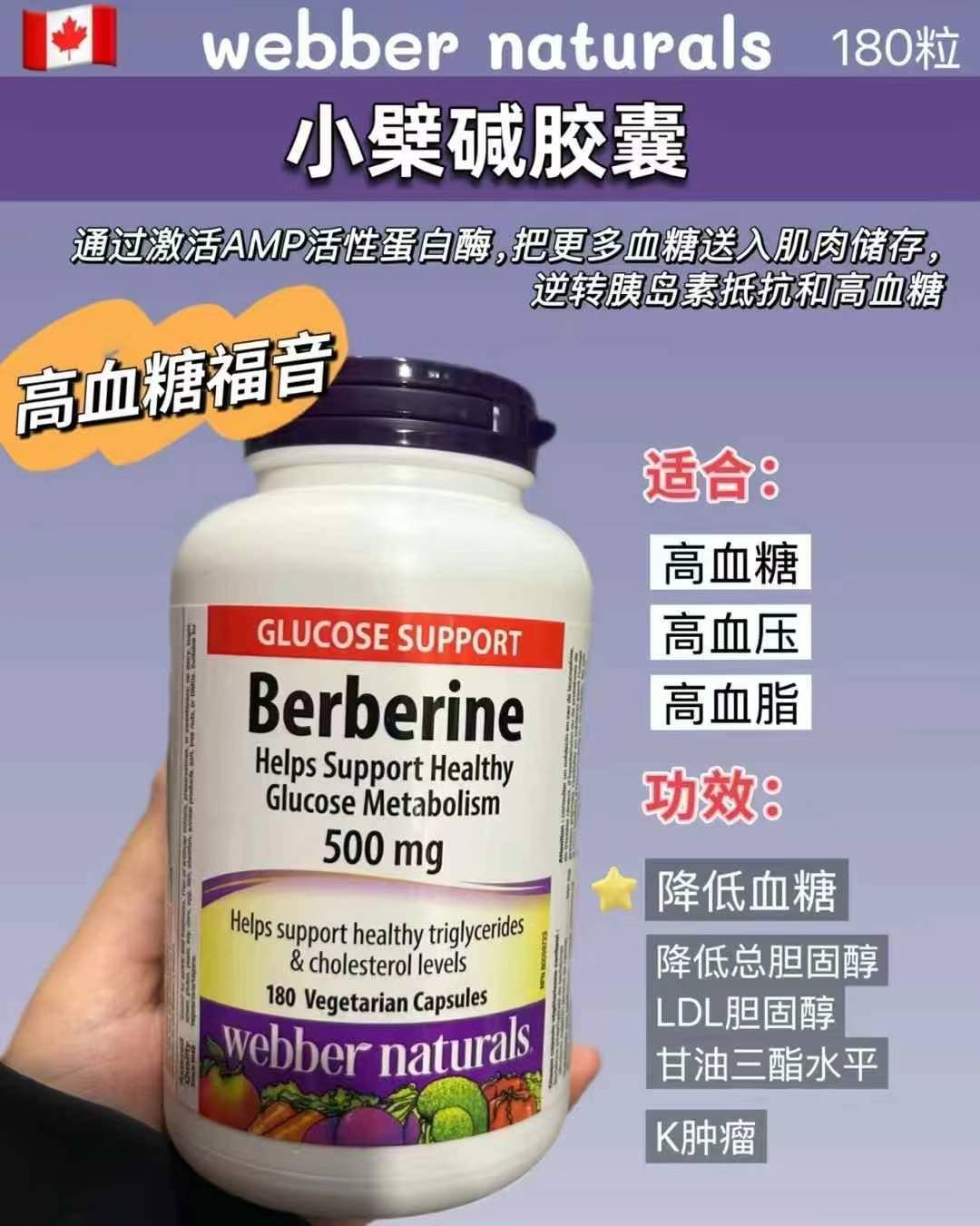 新品黄连素(又称小檗碱Berberine)特价🉐¥288/瓶180粒,3个月的量