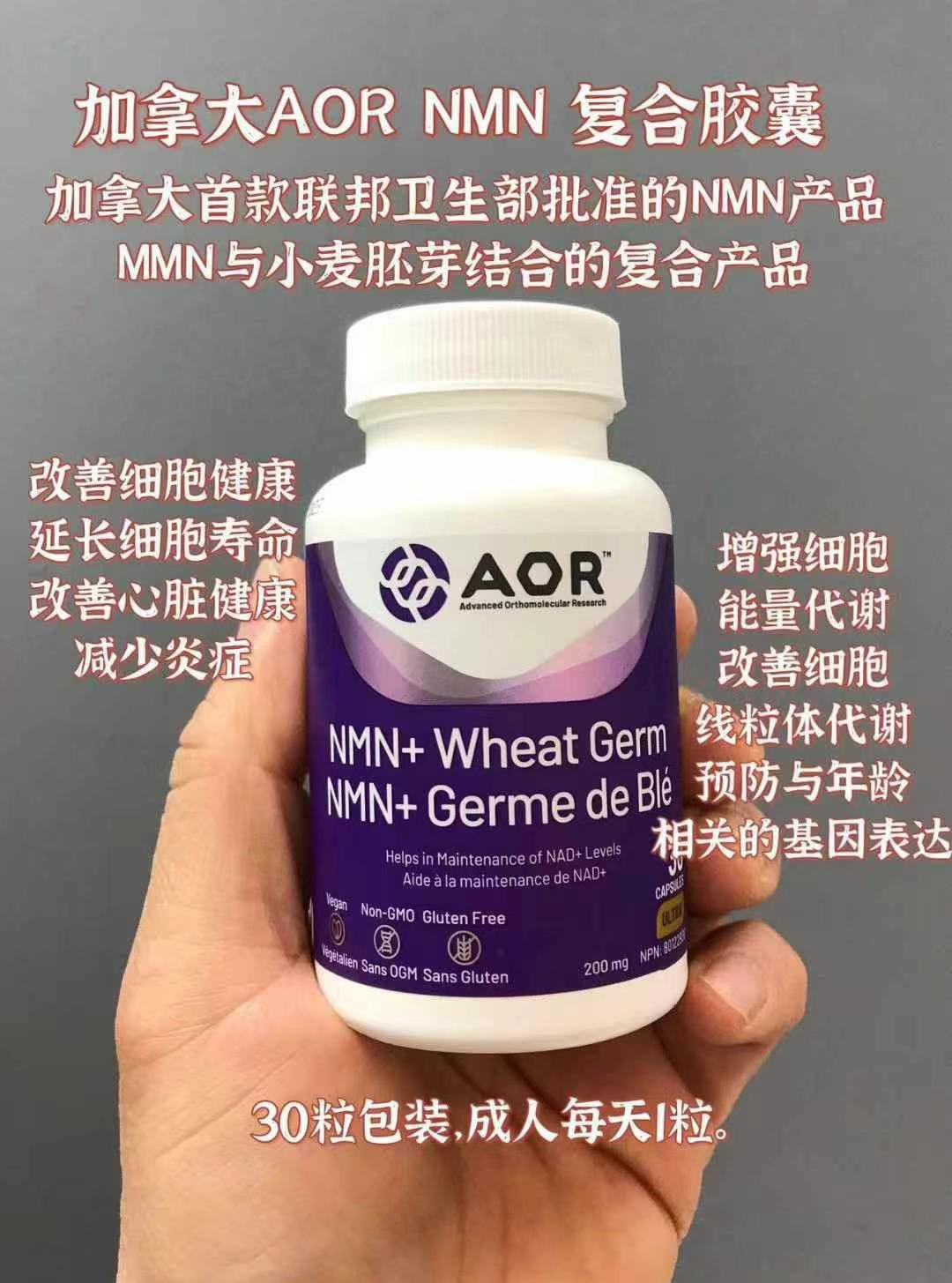 被称作“不老药”的NMN终于在加拿大🇨🇦批准上架,加拿大🇨🇦卫生部通过的首个NMN产品,NPN80122939