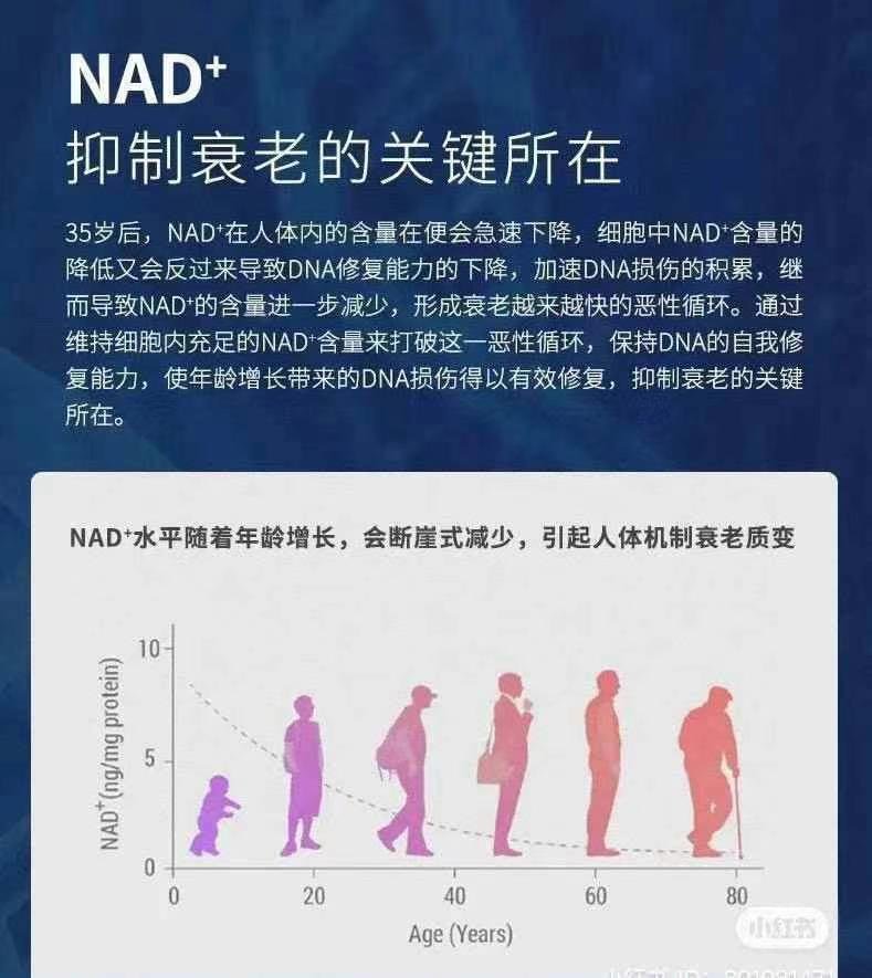 被称作“不老药”的NMN终于在加拿大🇨🇦批准上架,加拿大🇨🇦卫生部通过的首个NMN产品,NPN80122939 - 图片 7