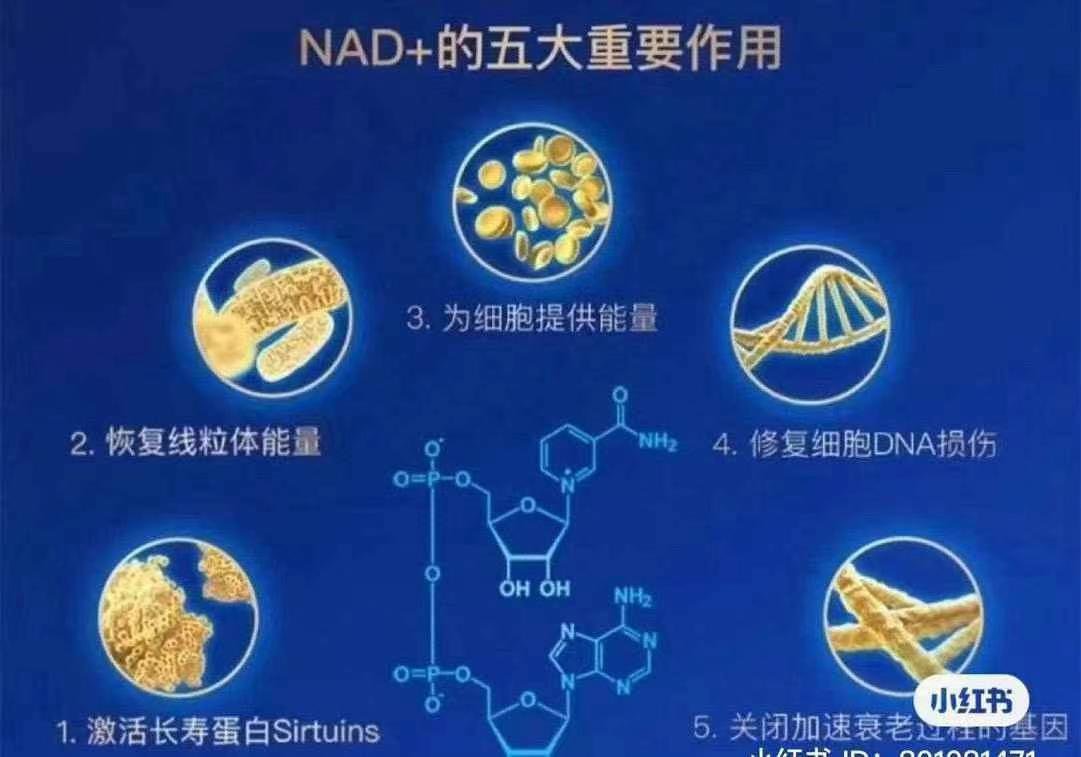 被称作“不老药”的NMN终于在加拿大🇨🇦批准上架,加拿大🇨🇦卫生部通过的首个NMN产品,NPN80122939 - 图片 9