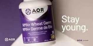 被称作“不老药”的NMN终于在加拿大🇨🇦批准上架,加拿大🇨🇦卫生部通过的首个NMN产品,NPN80122939 - 图片 10