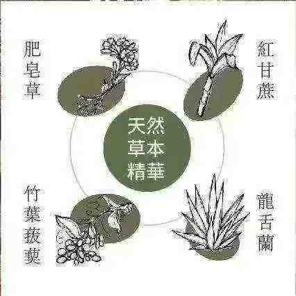 来自亚马逊土著的神秘配方Lavisherb生发精华200ml - 图片 6