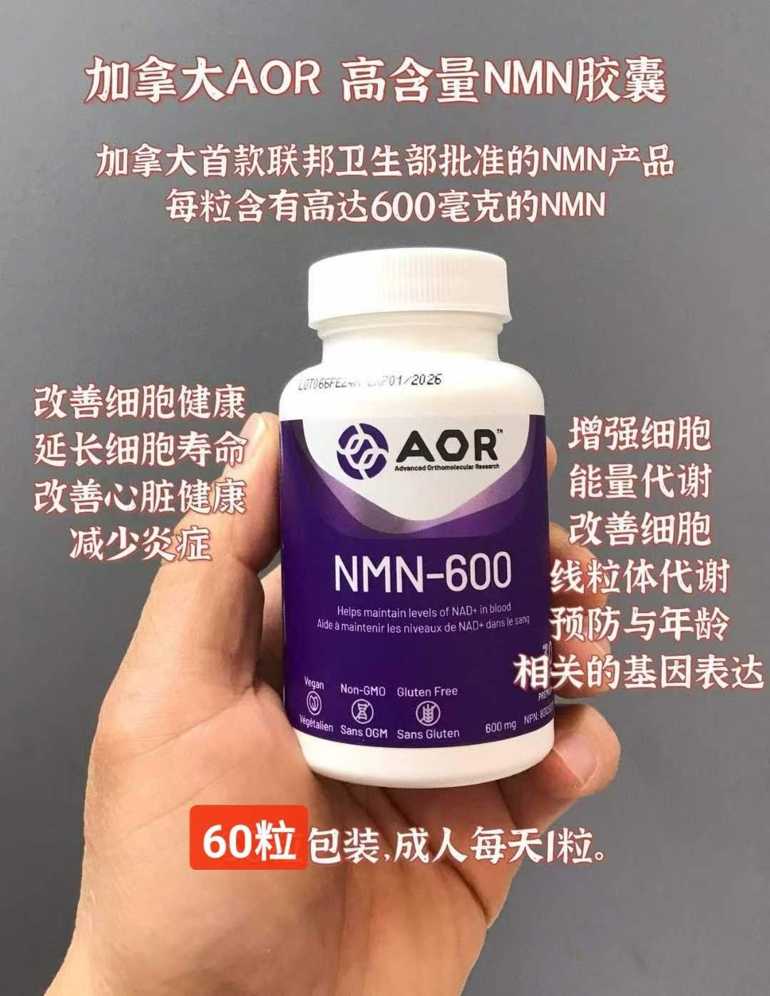 全新一代【Aor NMN 600mg】💊60粒装✨