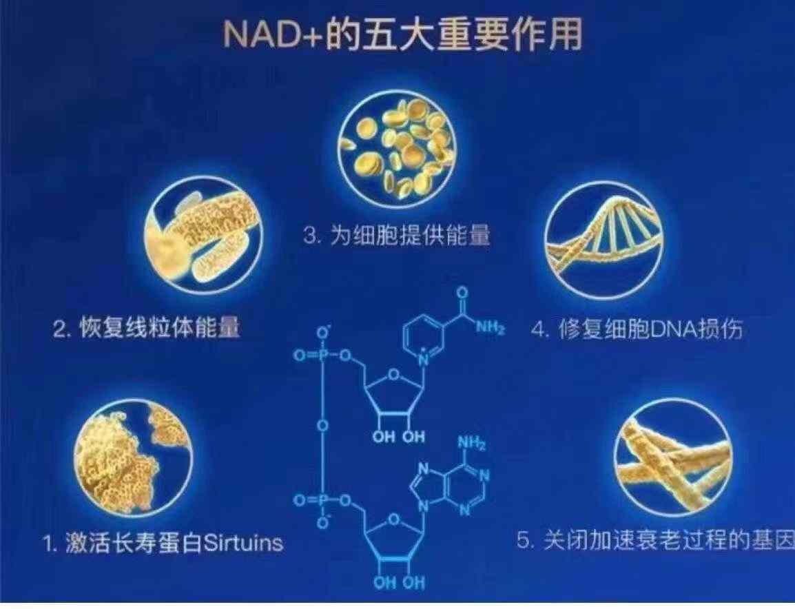 全新一代【Aor NMN 600mg】💊60粒装✨ - 图片 6